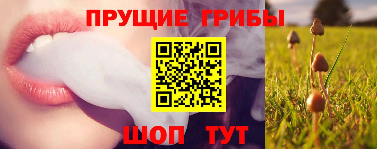 Галлюциногенные грибы Psilocybe  Вход с VPN  Тольятти 