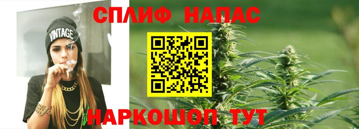 Шишки марихуана план  Шишки марихуана THC 21%  Вход с VPN  Бошки марихуана конопля  Тольятти 