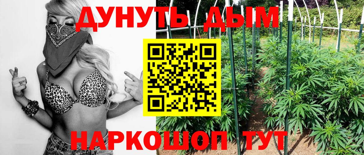 Канабис гибрид Тольятти
